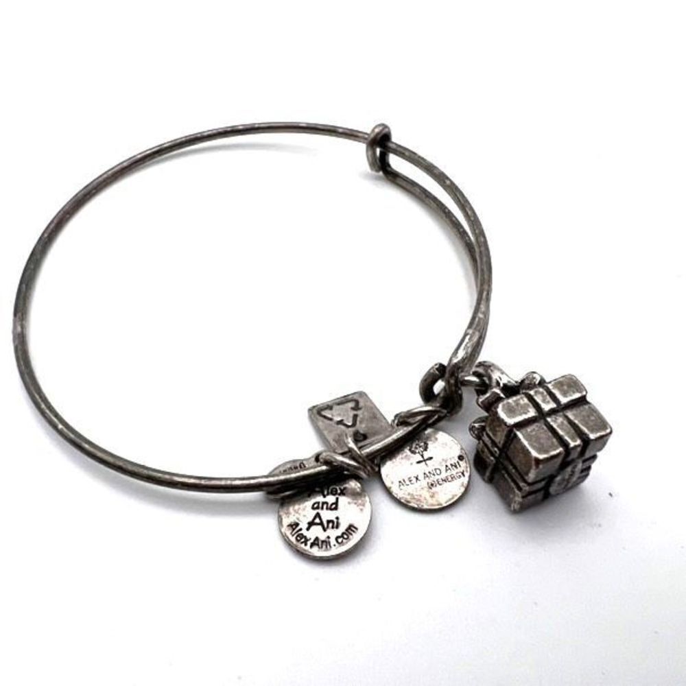 Alex and Ani Gift Present Silvertone Bangle Bracelet charm